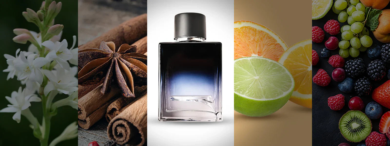 Best Perfumes for Men