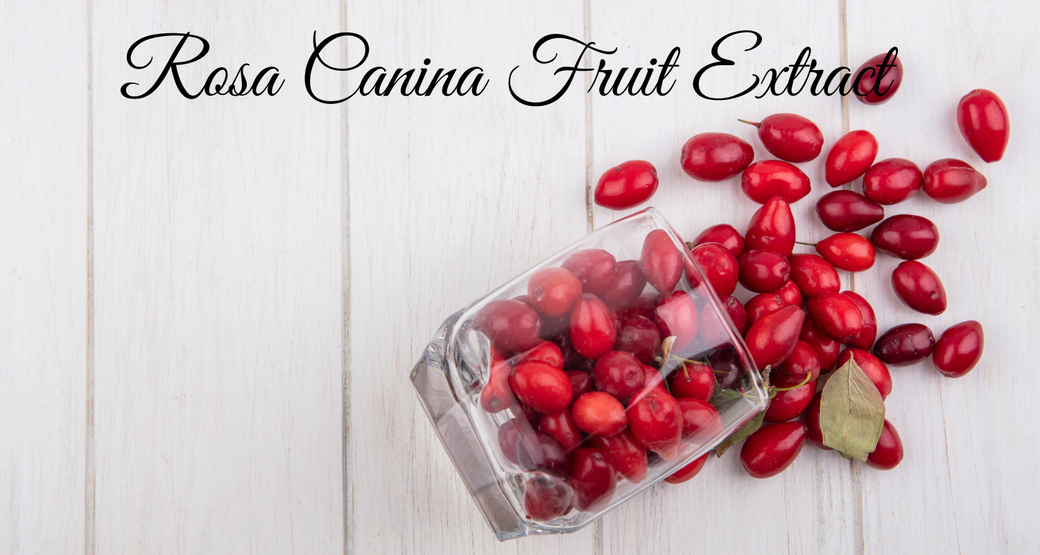 Rosa Canina Fruit Extract