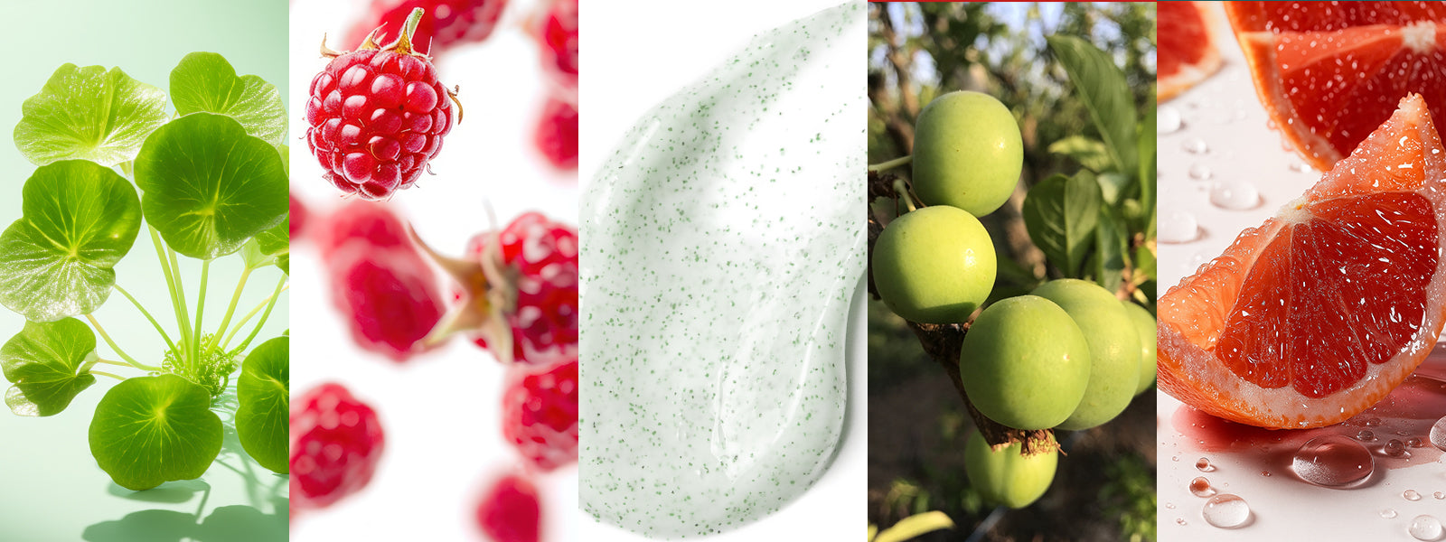 ত্বক এক্সফোলিয়েশনের সঠিক নিয়ম