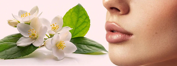 Best Naturally Tinted Lip Balms for Full, Soft, & Pink Lips
