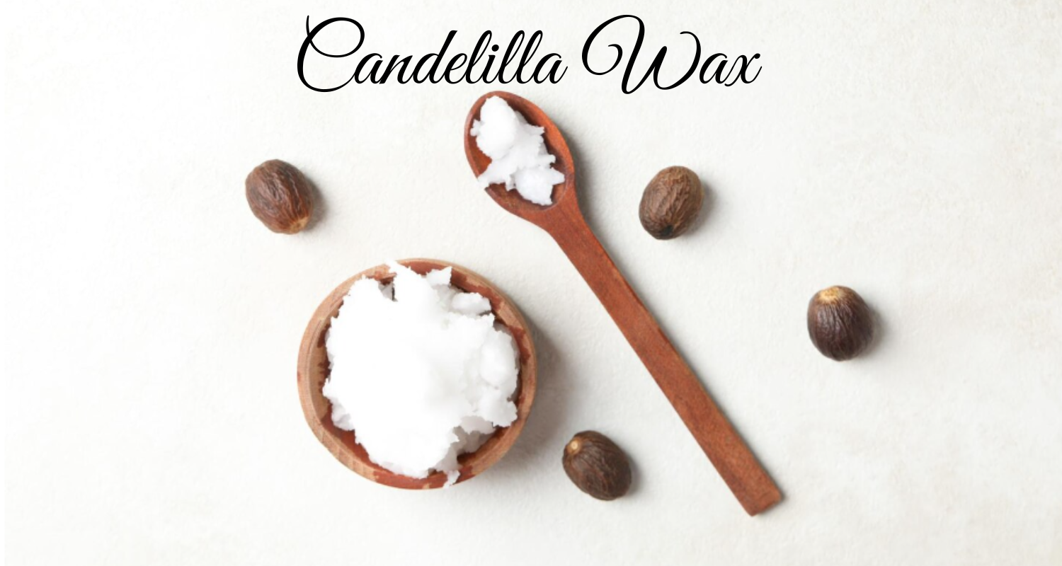 Candelilla Wax