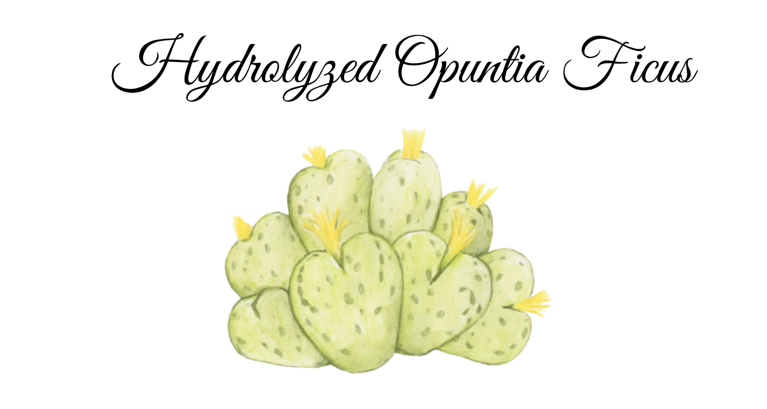 Hydrolyzed Opuntia Ficus