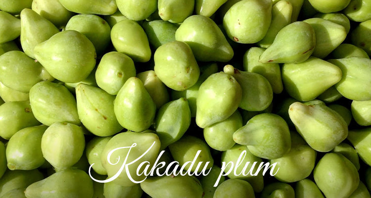 Kakadu plum