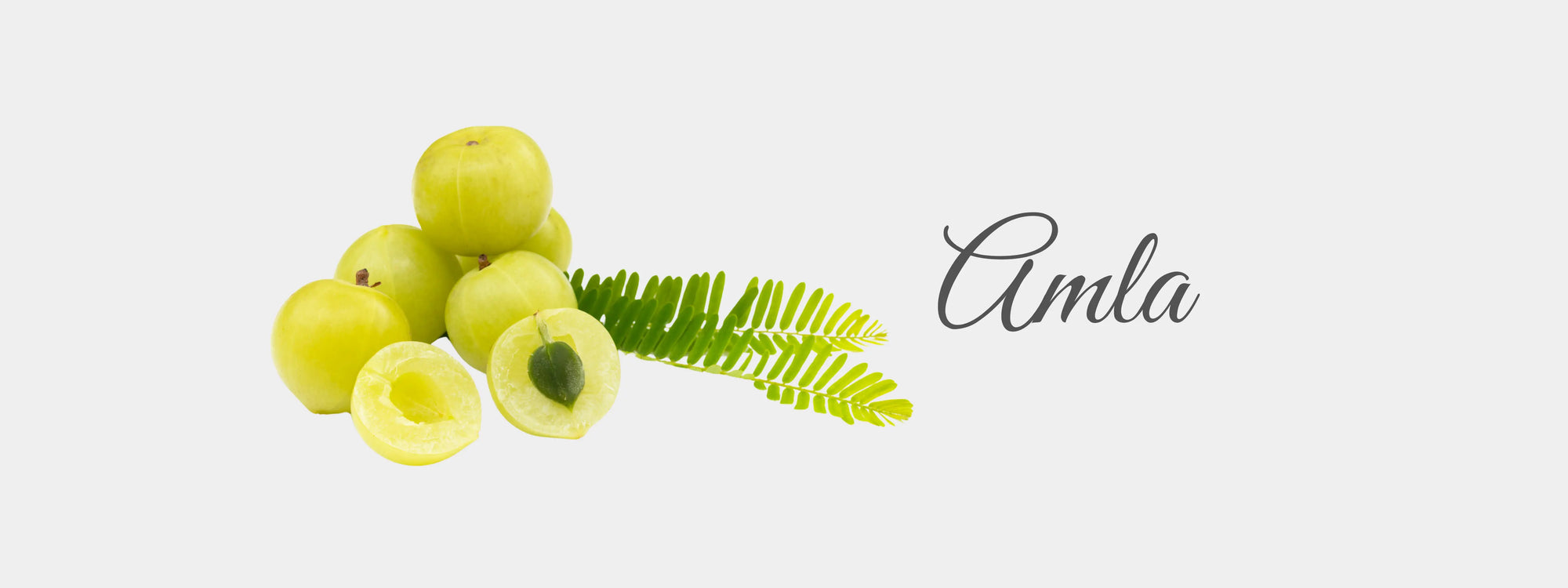 Amla