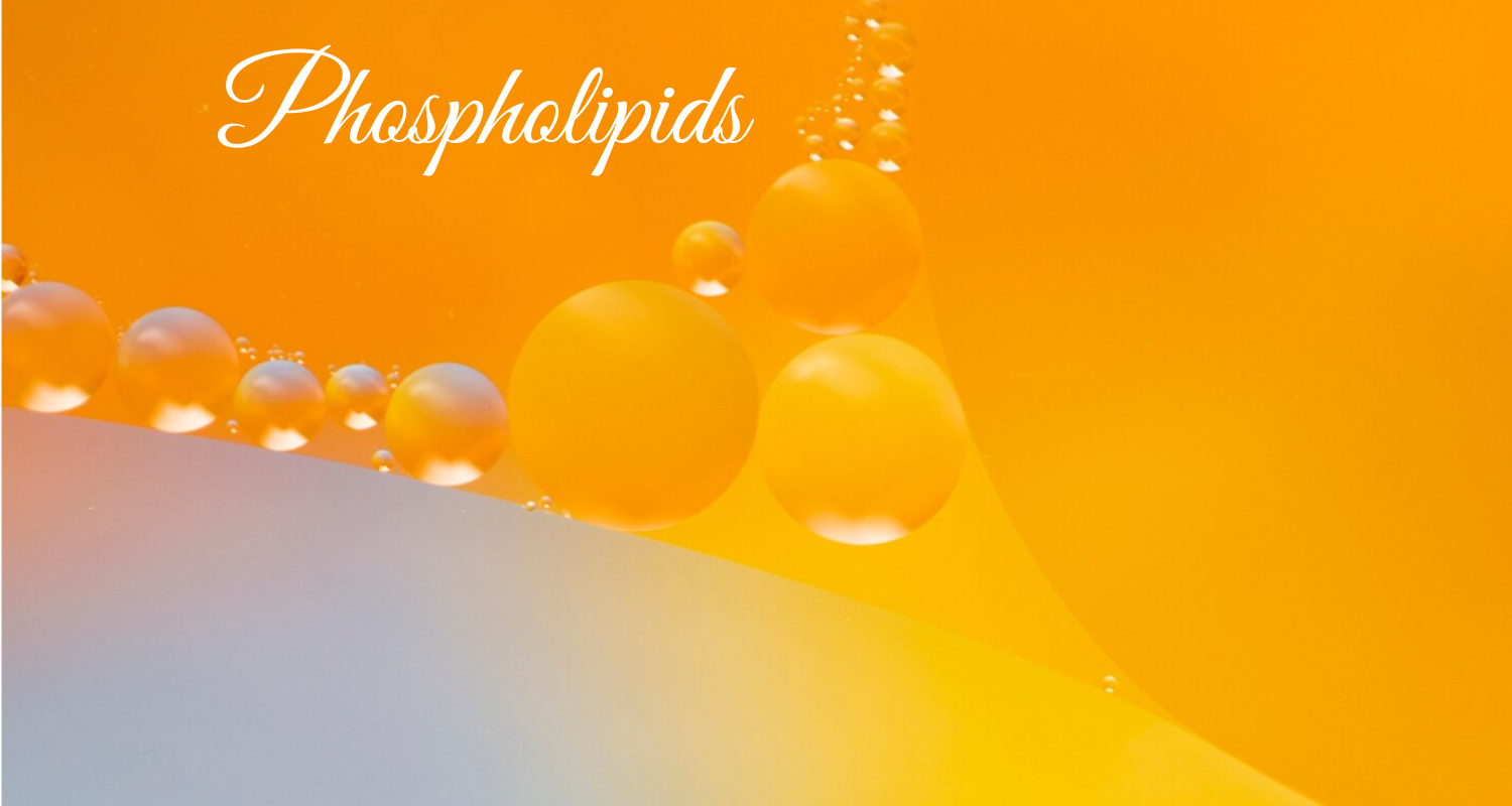 Phospholipids 