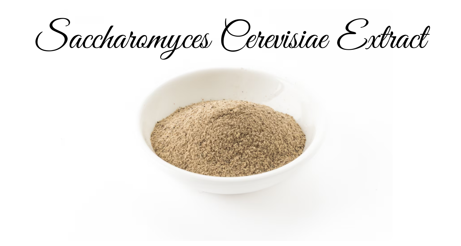 Saccharomyces Cerevisiae Extract