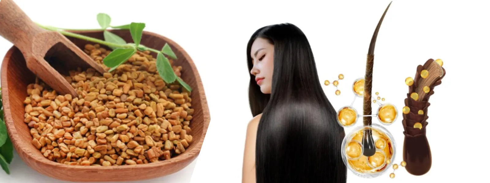 methi dana benefits_lapink