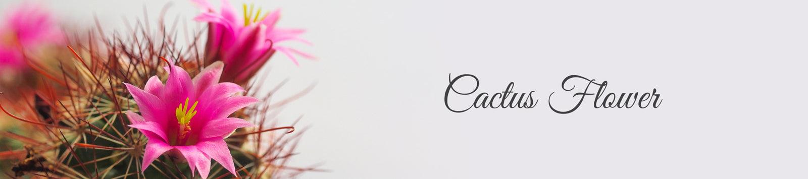 La Pink Cactus Flower Ingredient Collection - 100% Microplastic Free Products - La Pink