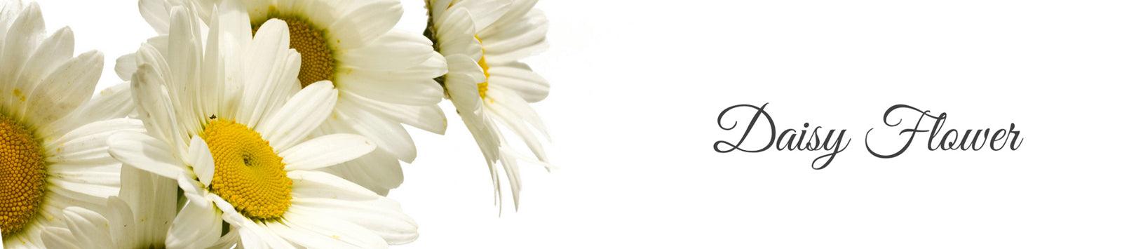 La Pink Daisy Flower Ingredient Collection - 100% Microplastic Free Products - La Pink