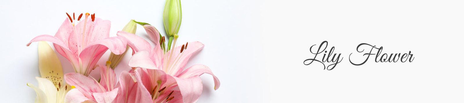 La Pink Lily Flower Ingredient Collection - 100% Microplastic Free Products - La Pink