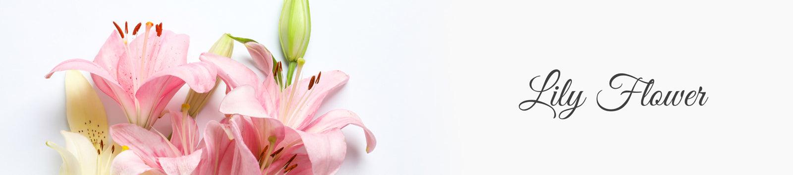 La Pink Lily Flower Ingredient Collection - 100% Microplastic Free Products - La Pink