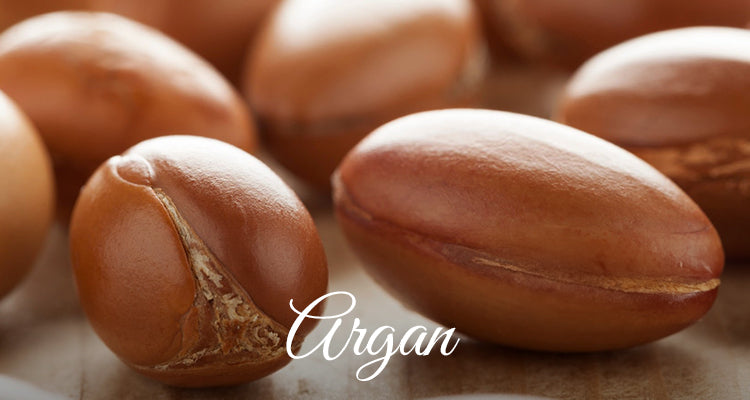 Organic Argan-lapink