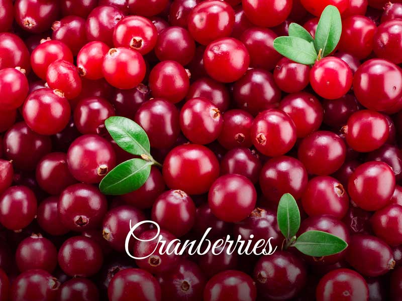 Healthy Cranberries-lapink