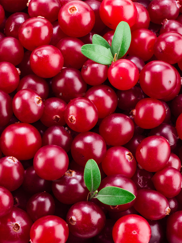 Cranberry-lapink