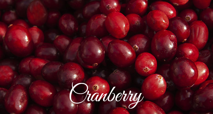 Cranberry Extract for Skin Benefits