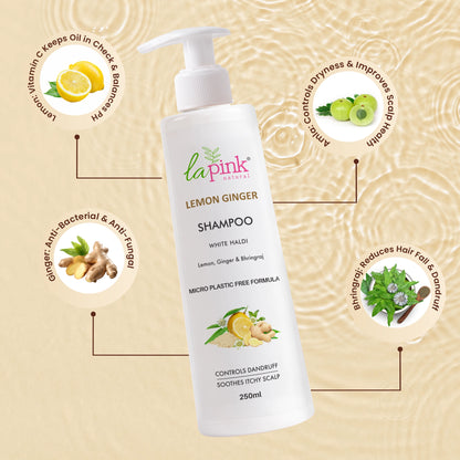 Lemon Ginger Shampoo &amp; Methi Dana Conditioner For Dandruff Free Hair Combo