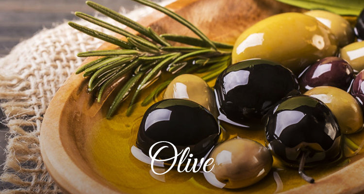 Olive_2-lapink