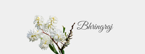 mobile-banner